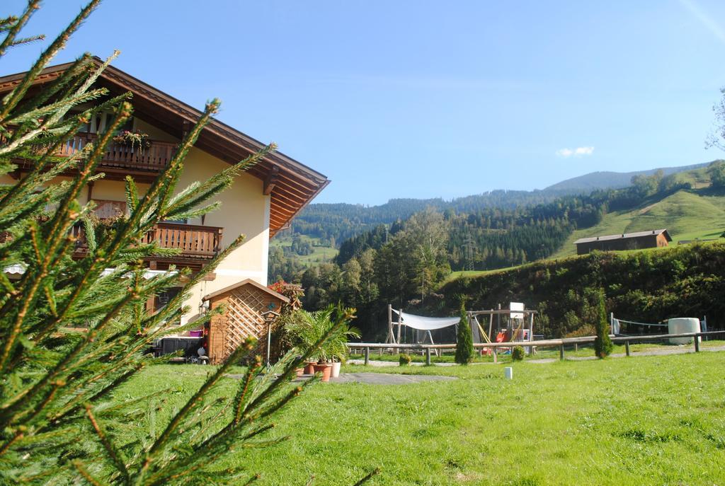 Familien-bauernhof Neumoar Apartment Sankt Johann im Pongau