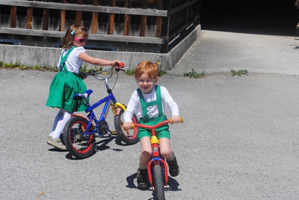 Familien-bauernhof Neumoar * Sankt Johann im Pongau