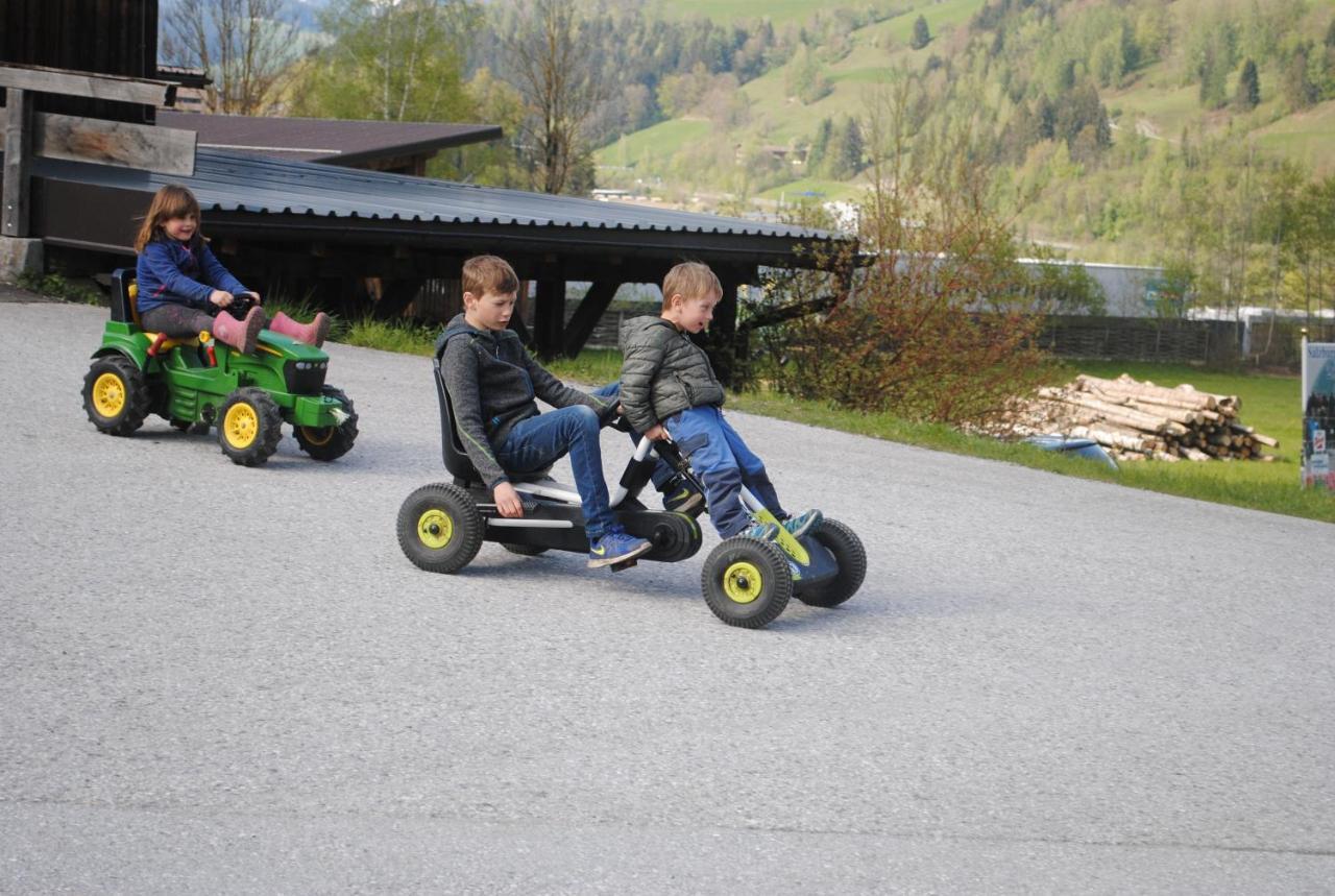 Apartment Familien-bauernhof Neumoar Sankt Johann im Pongau