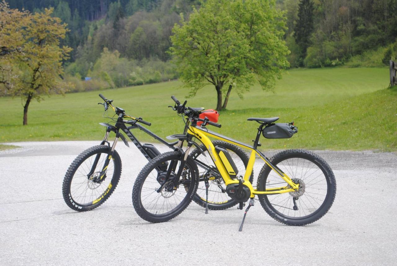 Familien-bauernhof Neumoar Apartment Sankt Johann im Pongau
